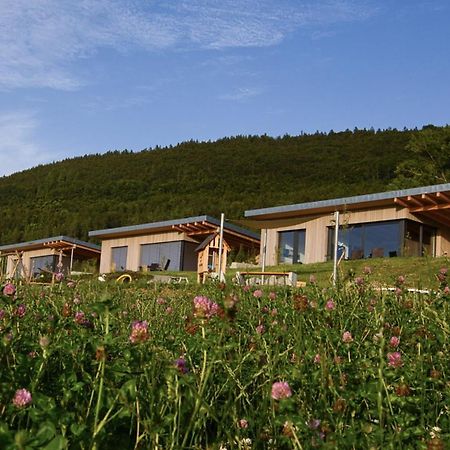 An Webers Stoag Villa Geisingen Bagian luar foto
