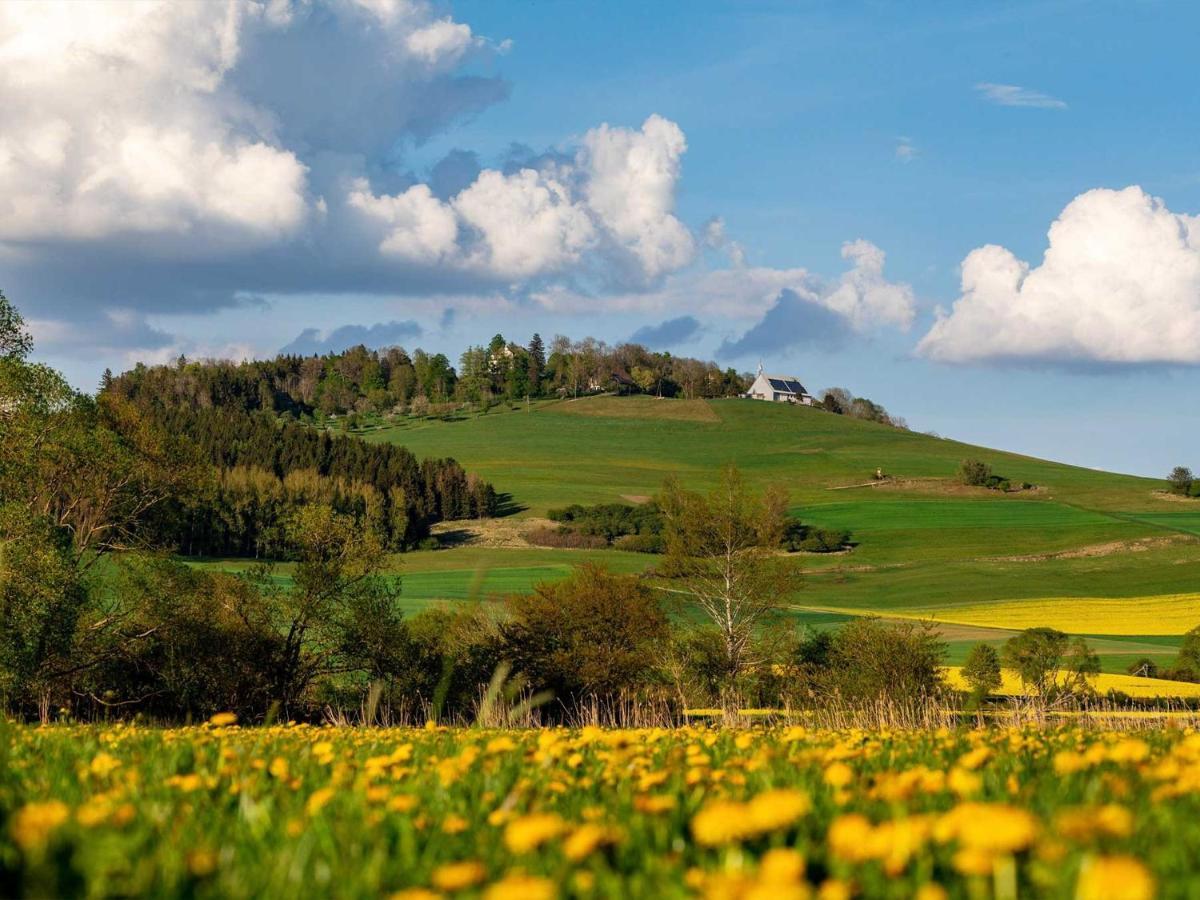 An Webers Stoag Villa Geisingen Bagian luar foto